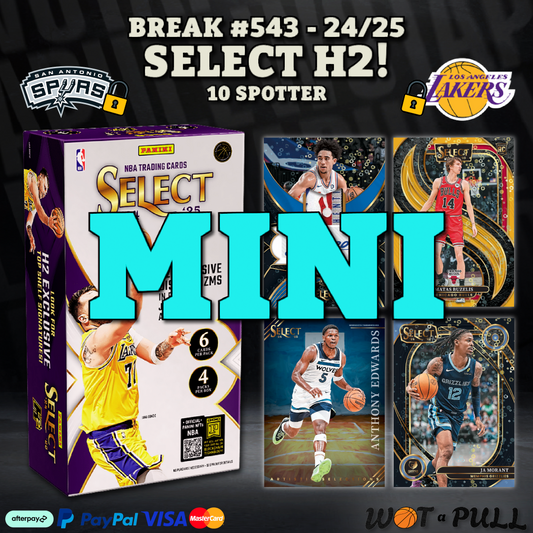 BREAK #543 - 2024-25 SELECT H2 10 SPOTTER CLOSING MINI!